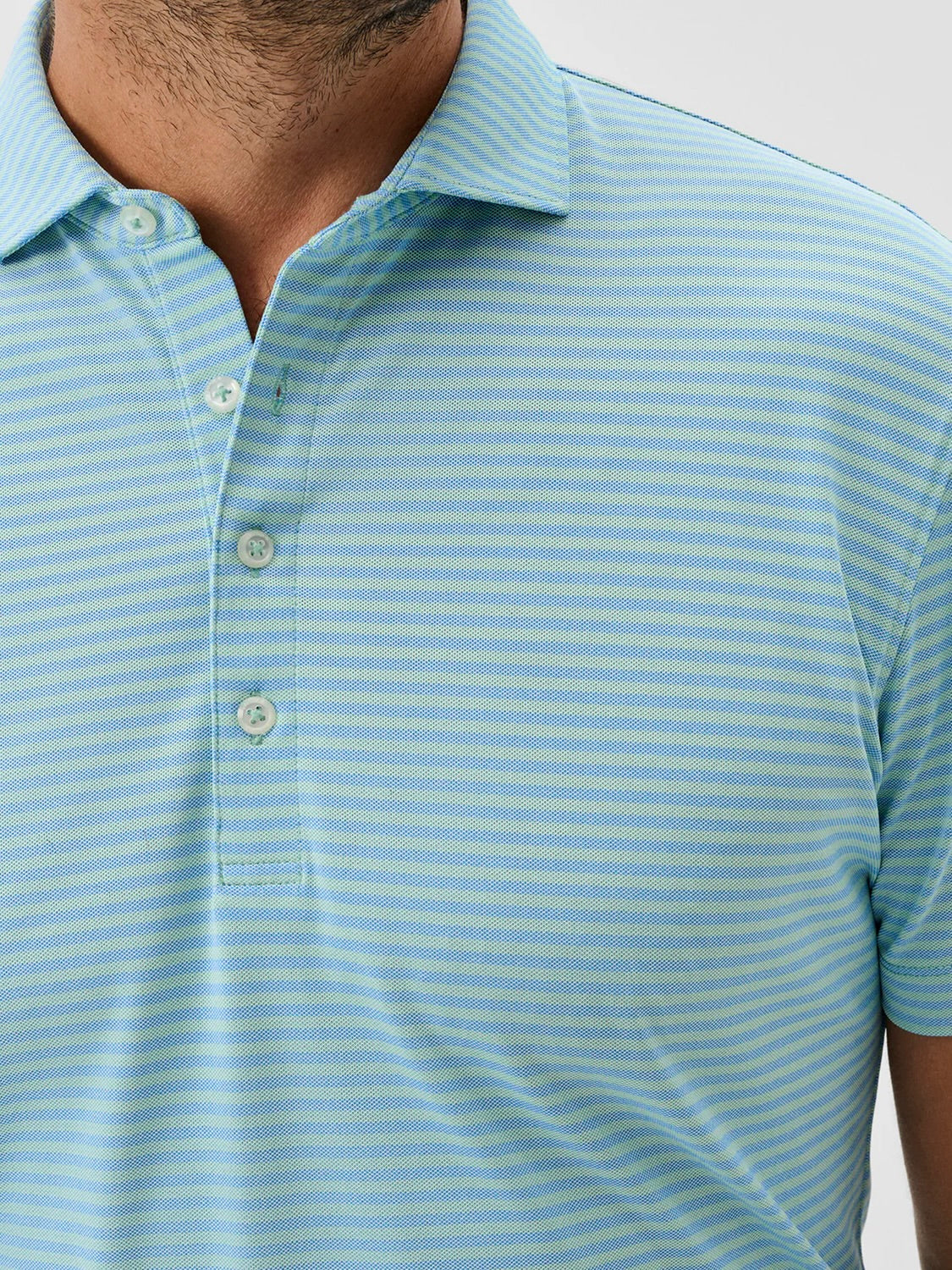 Macaw - Stetsons Polo