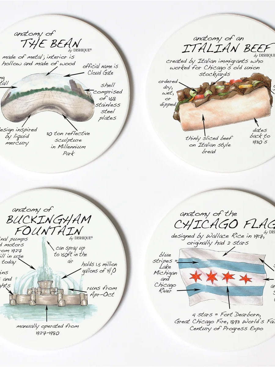 Chicago Anatomy Coaster Set