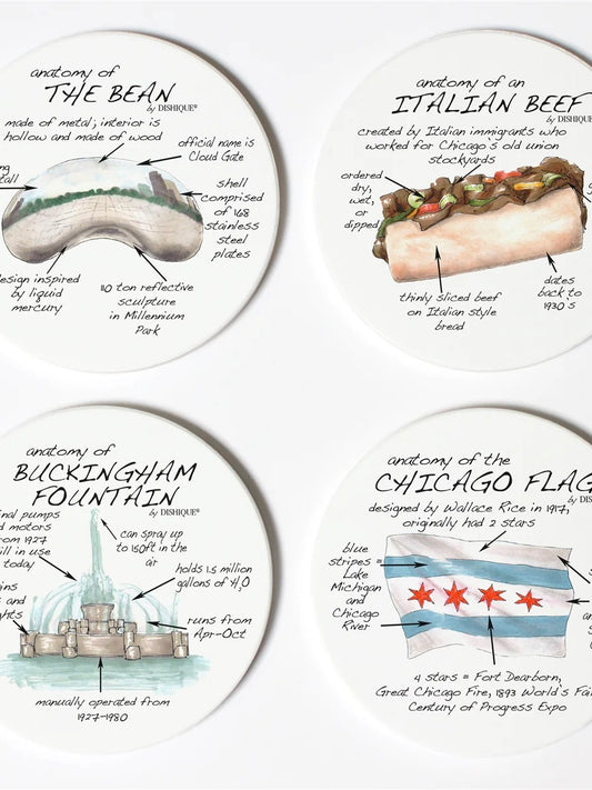 Chicago Anatomy Coaster Set