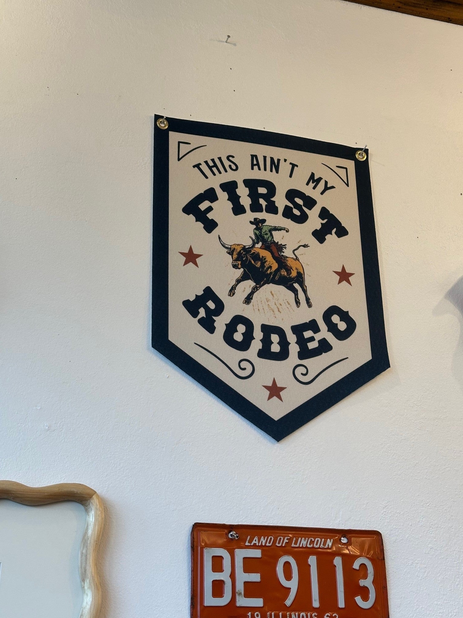 Ain't My First Rodeo Camp Flag