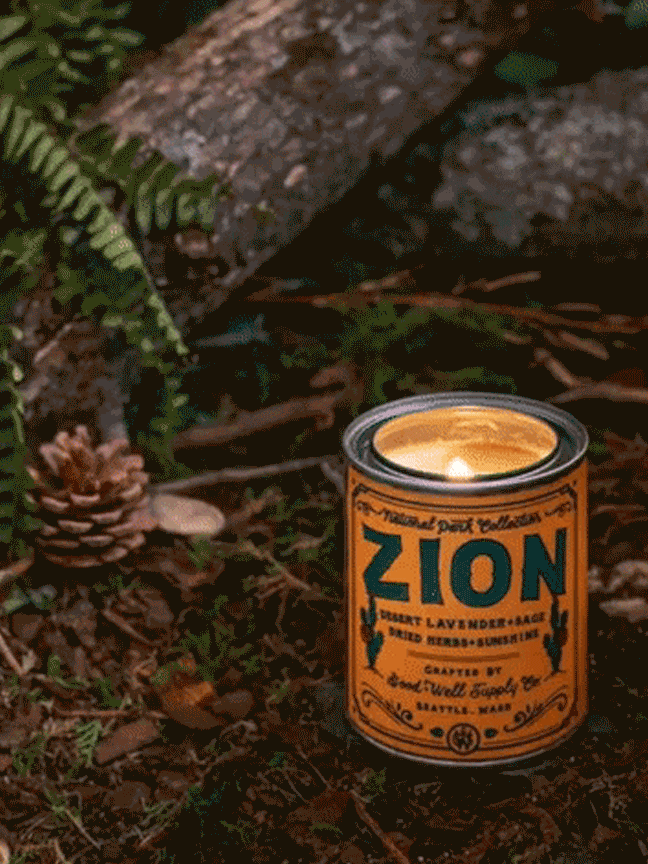 Zion 1/2 Pint National Park Candle